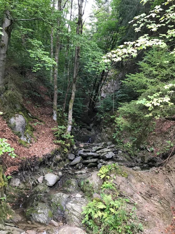 Landhaus Silbach Winterberg Luaran gambar