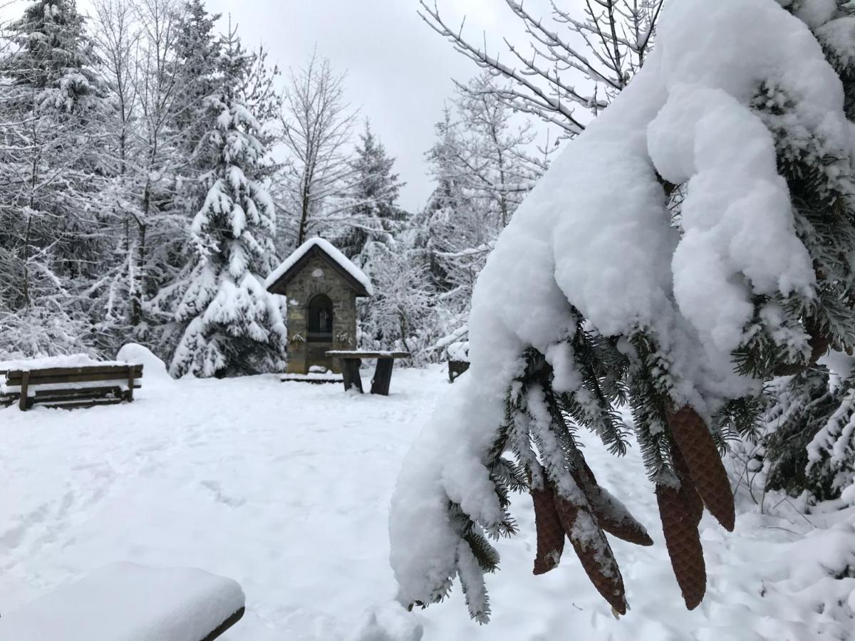 Landhaus Silbach Winterberg Luaran gambar